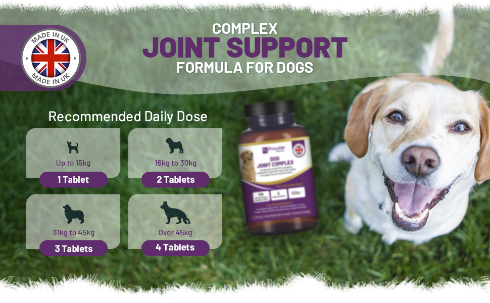 Dog Joint Support Tablets UK – Premium 150 Chicken Chewable Tablets - Image 2