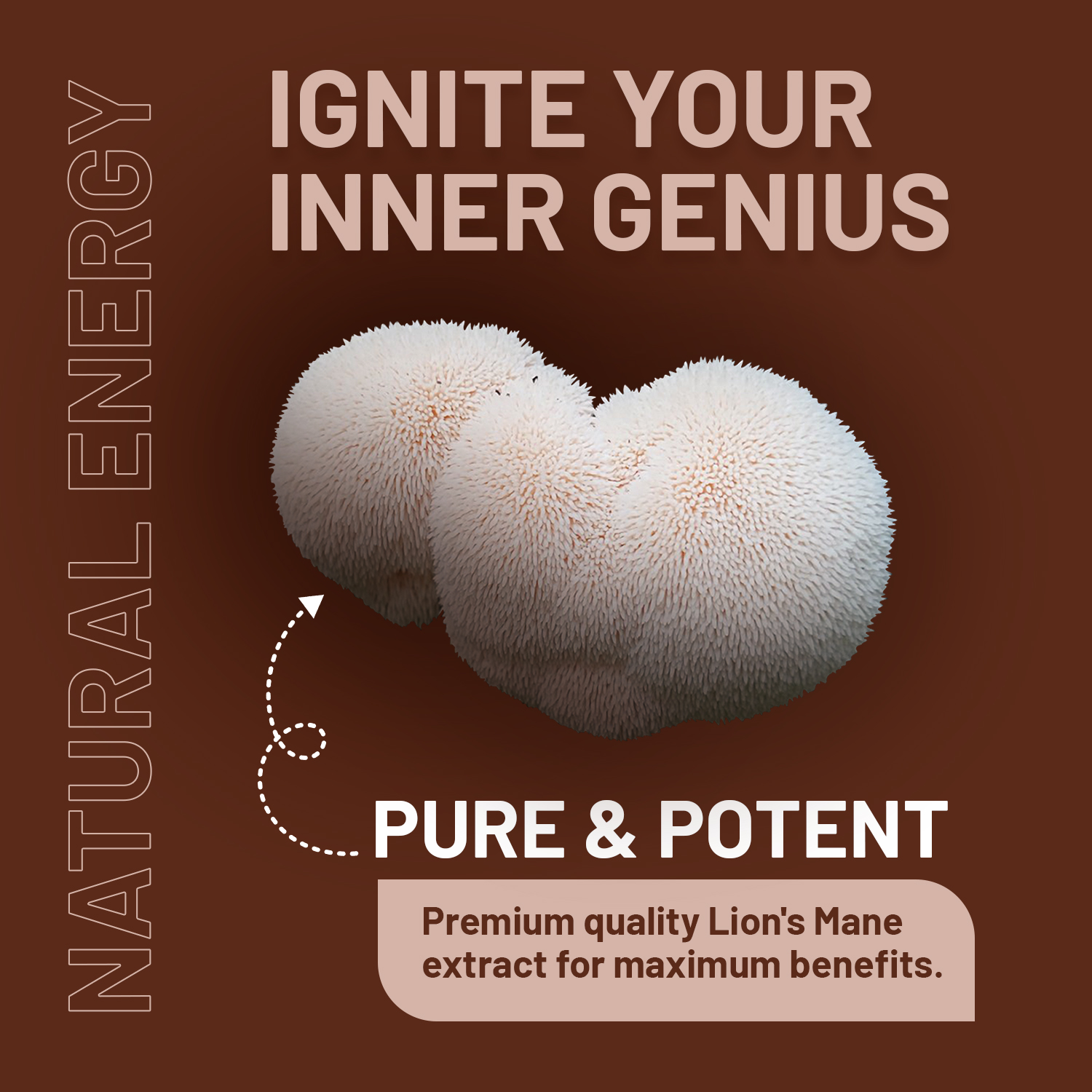 Lions Mane Mushroom Supplement 4000mg with Vitamin B1, B6, B12 & Black Pepper - Image 3